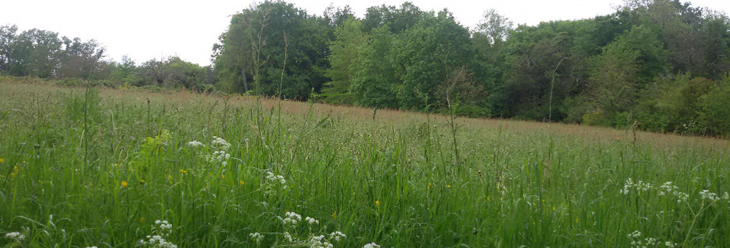 Terrain  3700 m² à vendre à Chantérac (24190)