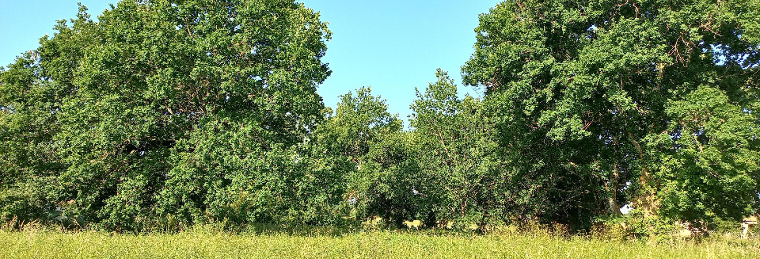 Terrain  3300 m² à vendre à Montpon-Ménestérol (24700)