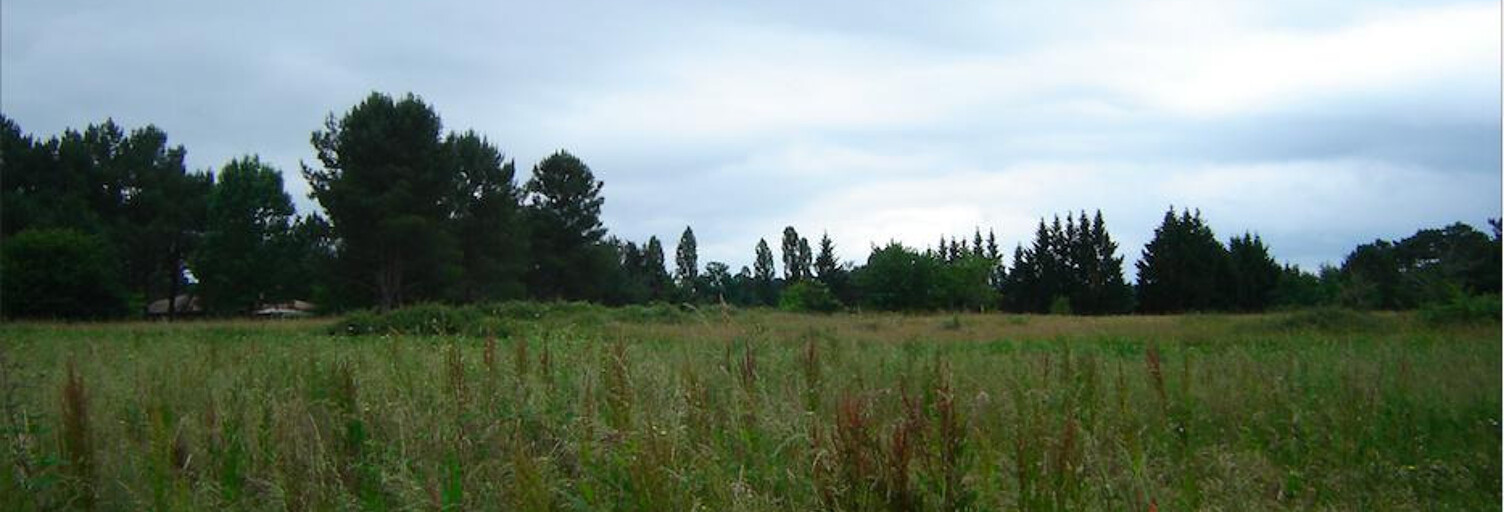 Terrain  2500 m² à vendre à Saint-Michel-de-Double (24400)