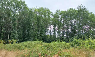 Terrain  2450 m² à vendre à Ménesplet (24700)