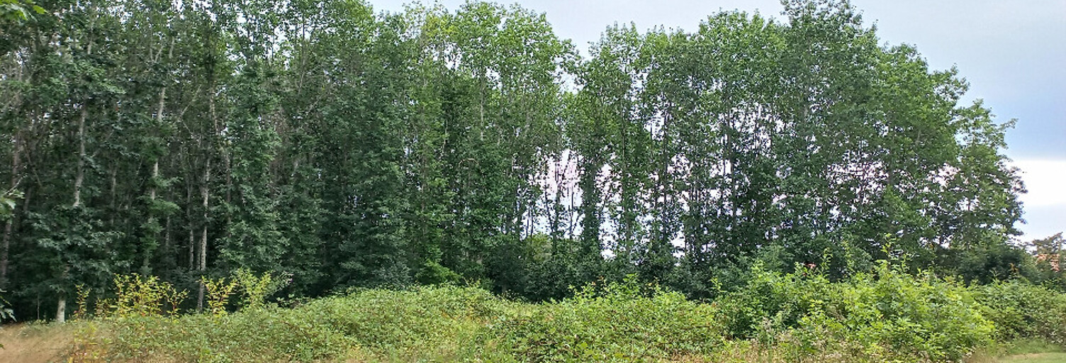 Terrain  2450 m² à vendre à Ménesplet (24700)