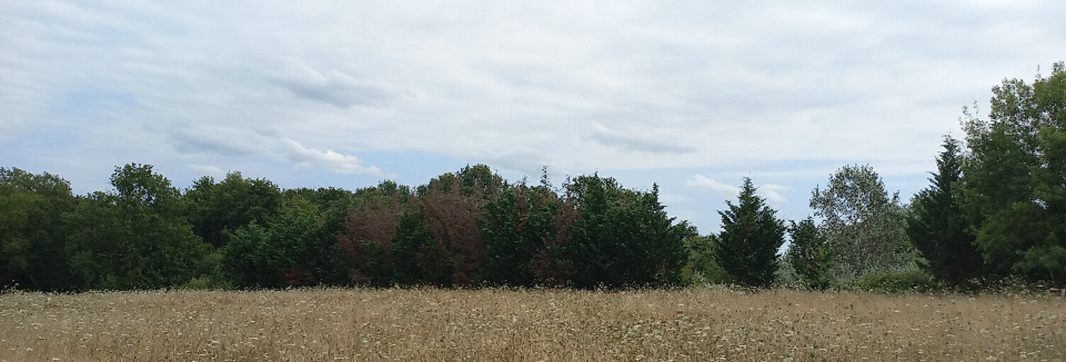 Terrain  2210 m² à vendre à Eygurande-et-Gardedeuil (24700)