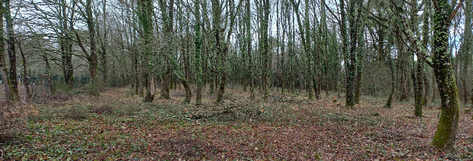 Terrain  2000 m² à vendre à Saint-Médard-de-Mussidan (24400)