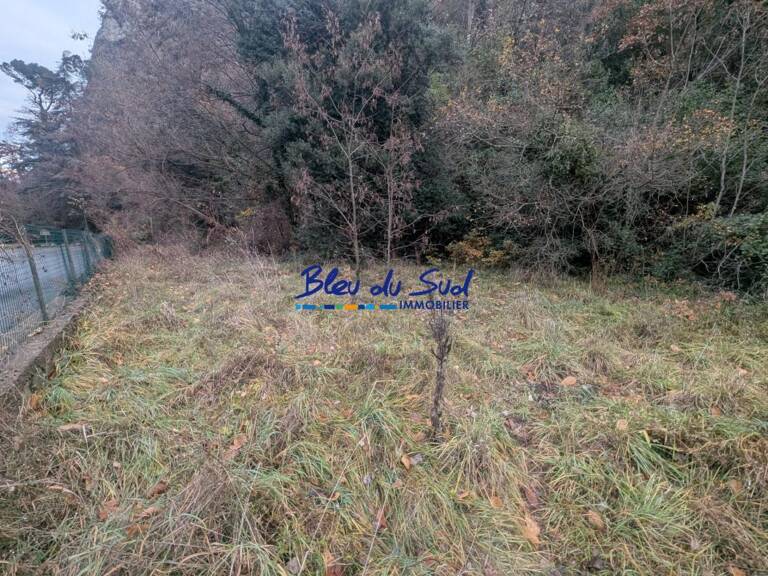 Terrain boisé — photo 1