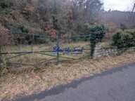 Terrain boisé — photo 2