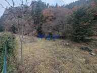 Terrain boisé — photo 3