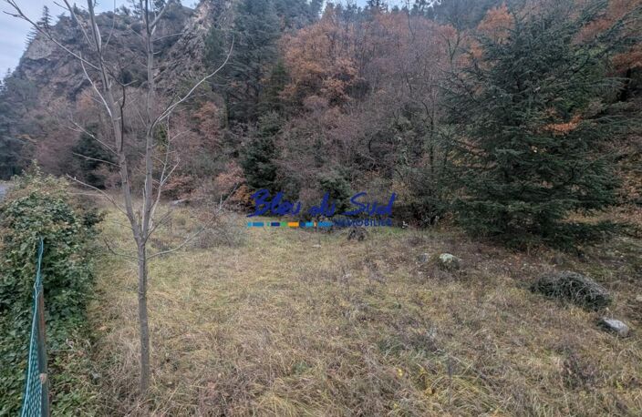 Terrain boisé — photo 3