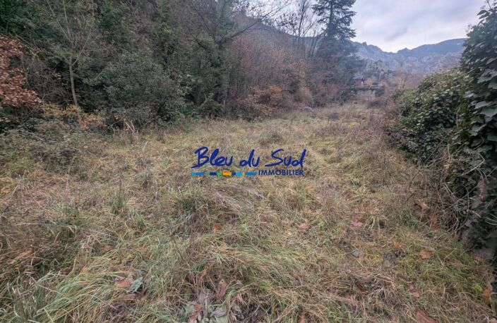 Terrain boisé — photo 4