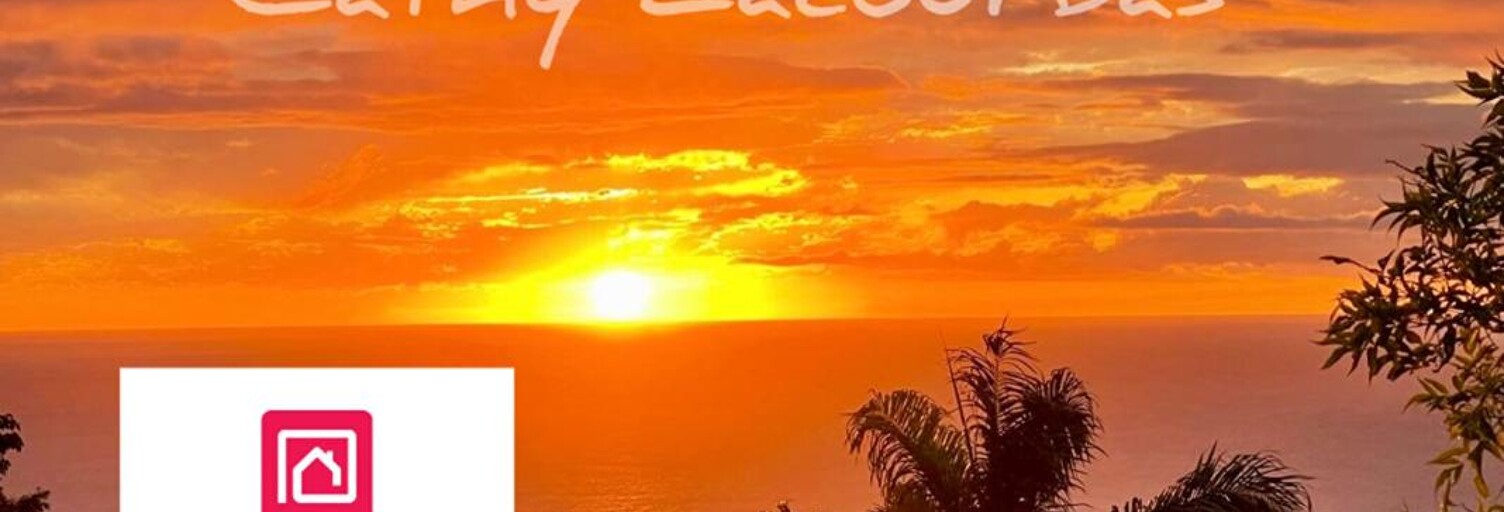 Maison 7 Pièces 210 m² à vendre à Pointe-Noire (97116)