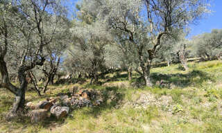 Terrain  1128 m² à vendre à Saint-Martin-du-Var (06670)