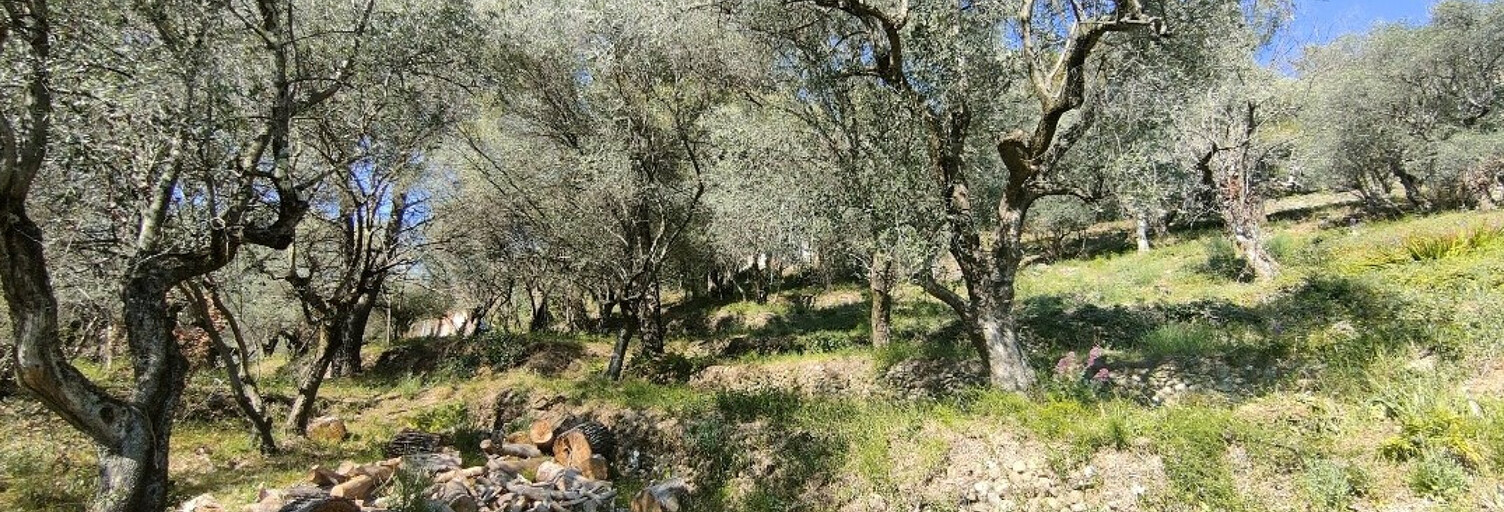 Terrain  1128 m² à vendre à Saint-Martin-du-Var (06670)