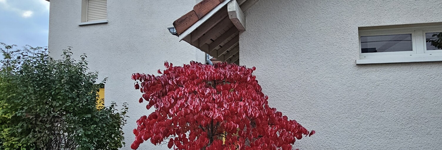 Maison 5 Pièces 145 m² à louer à Divonne-les-Bains (01220)