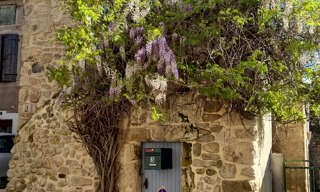 Maison 2 Pièces 41 m² à louer à Ouveillan (11590)