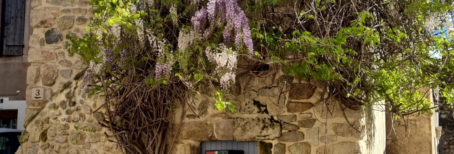 Maison 2 Pièces 41 m² à louer à Ouveillan (11590)