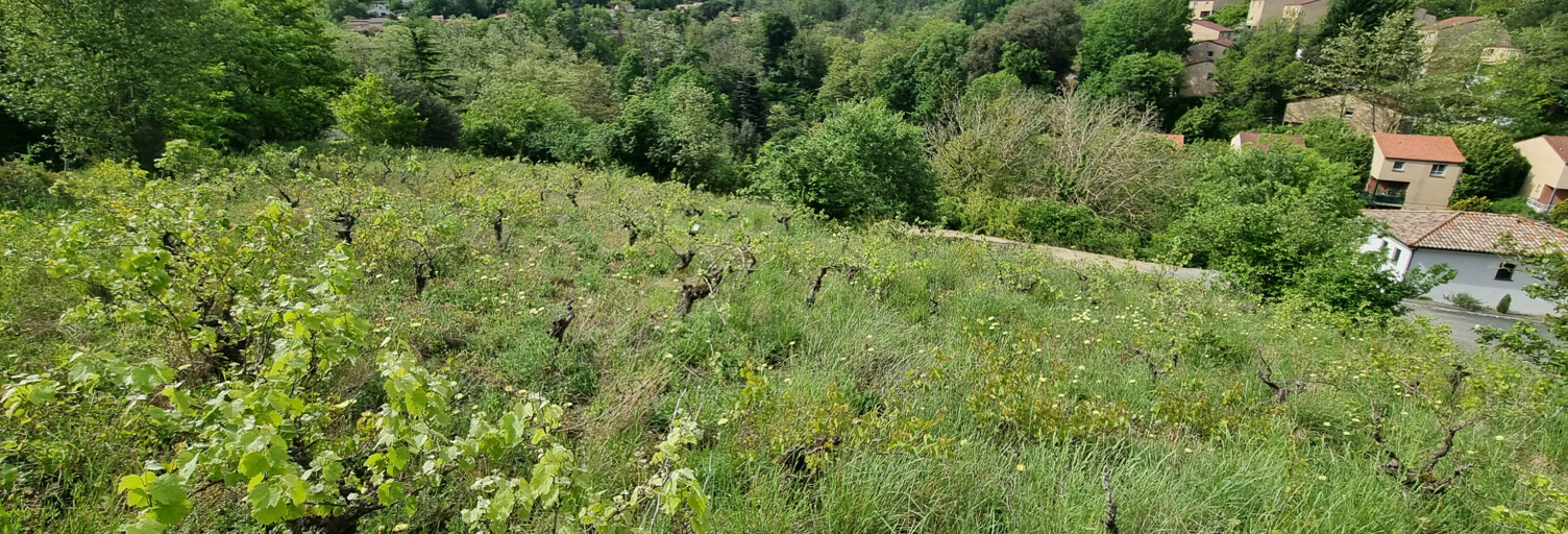 Terrain  1000 m² à vendre à Castanet-Tolosan (31320)