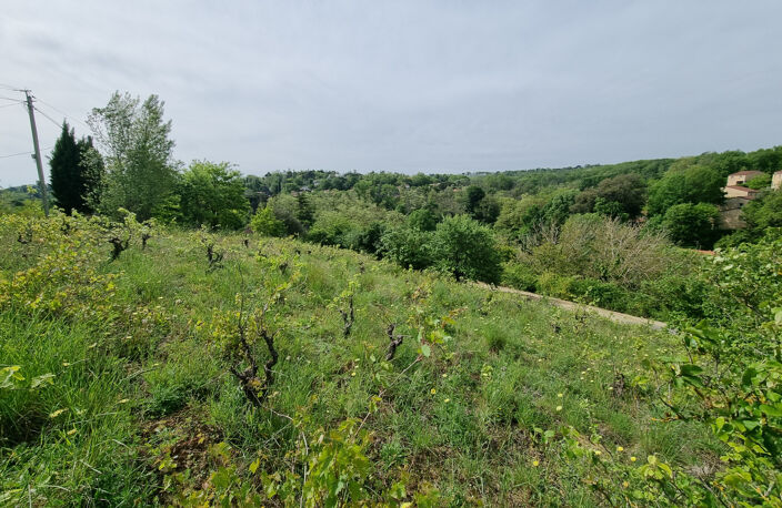 CASTANET COTEAUX — photo 3