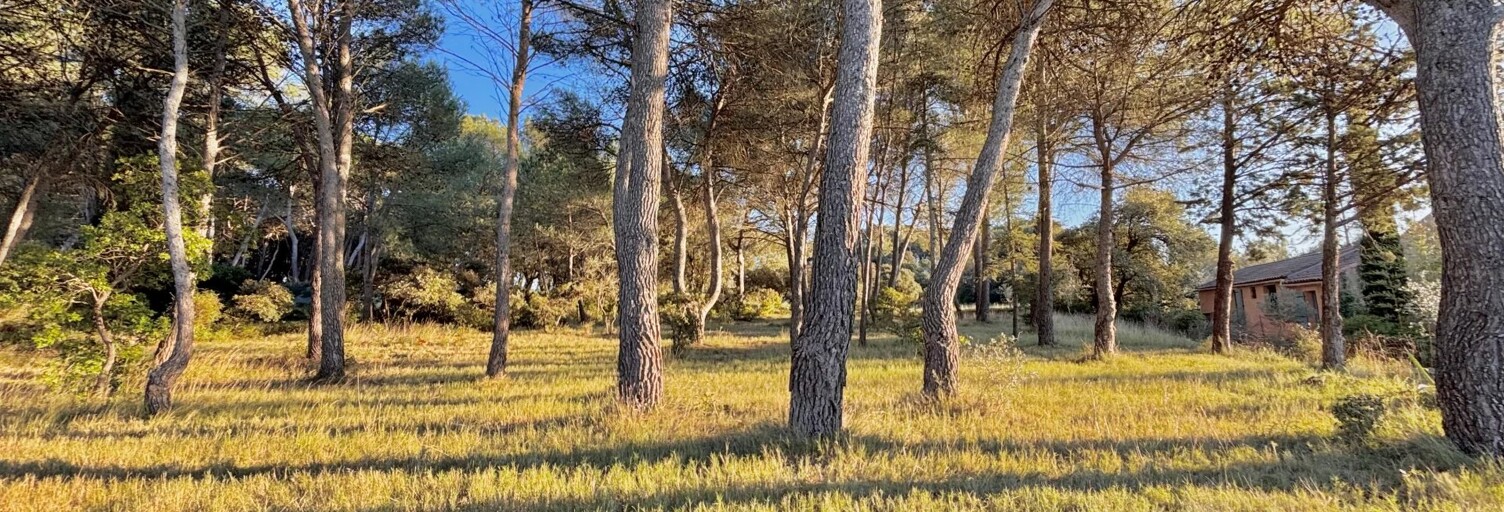 Maison 6 Pièces 190 m² à vendre à Gignac (34150)