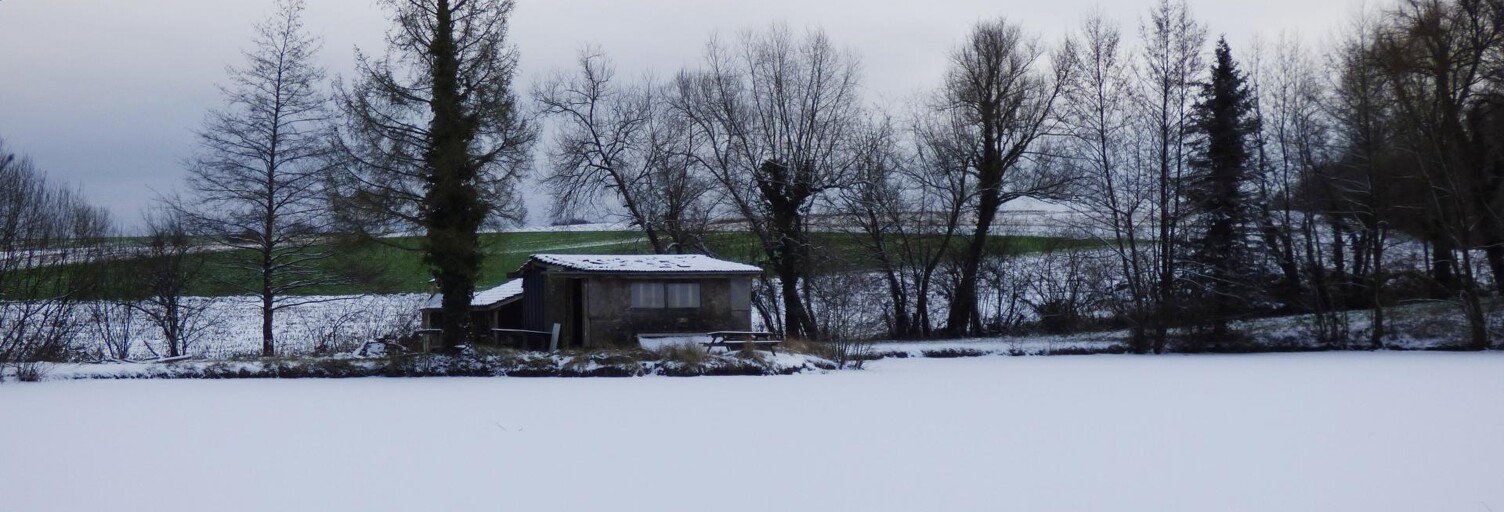 Terrain  13730 m² à vendre à Burnhaupt-le-Bas (68520)