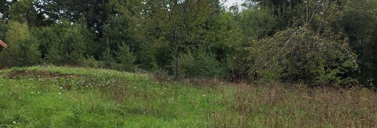 Terrain  3446 m² à vendre à Vertolaye (63480)