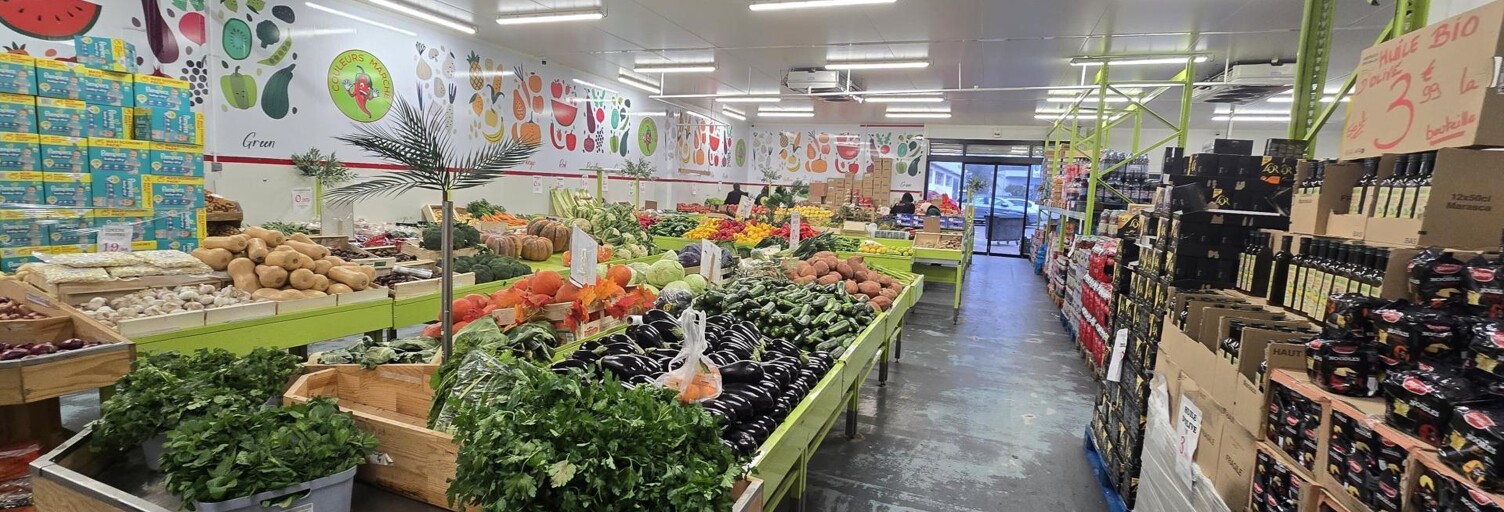 Commerce  500 m² à vendre à Grigny-sur-Rhône (69520)