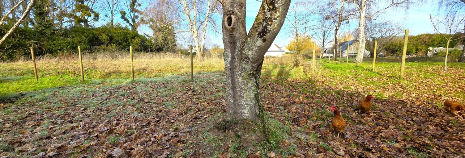 Terrain  1679 m² à vendre à Baugé-en-Anjou (49150)