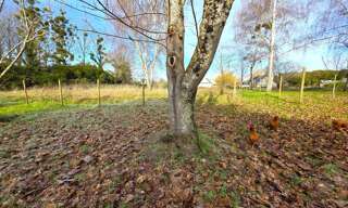 Terrain  1679 m² à vendre à Baugé-en-Anjou (49150)