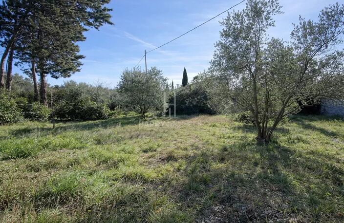 Ensemble immobilier Alpilles Sud avec maisons de plain pied — photo 5