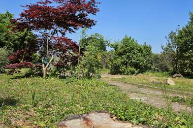 Terrain  79000 €