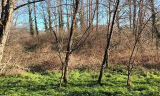 Terrain  5516 m² à vendre à Villandraut (33730)