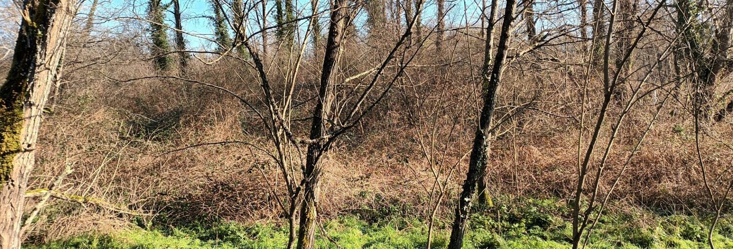 Terrain  5516 m² à vendre à Villandraut (33730)