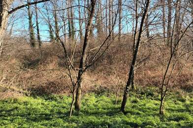 Terrain  12500 €