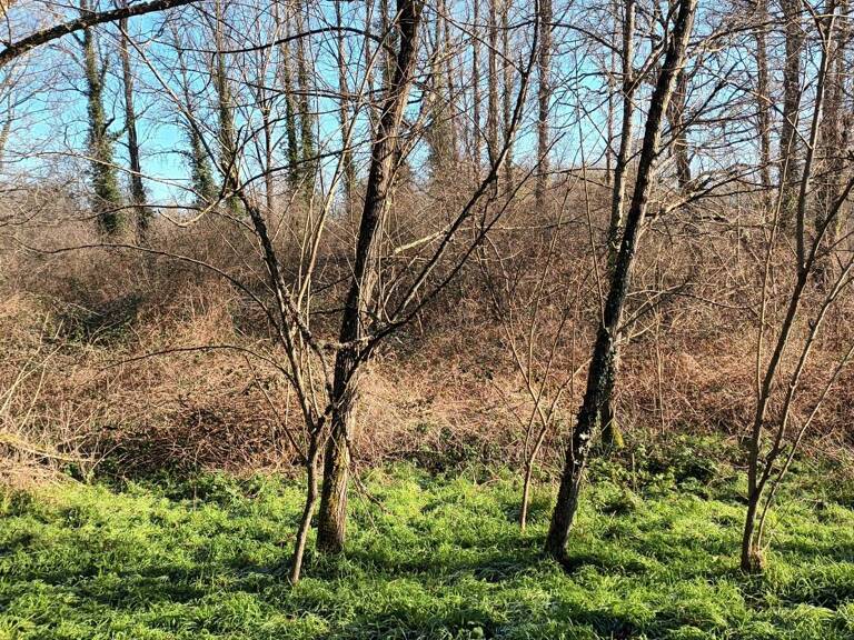 Terrain non constructible — photo 1