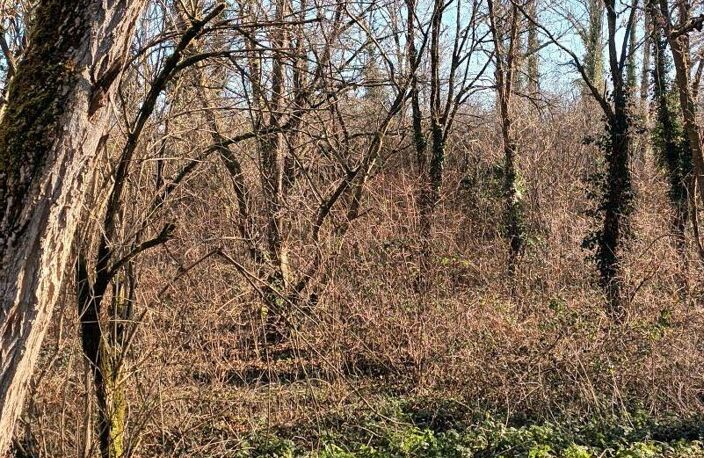 Terrain non constructible — photo 2