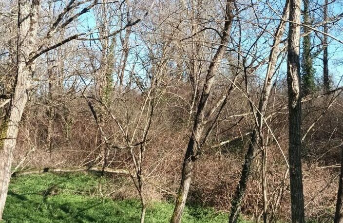 Terrain non constructible — photo 3