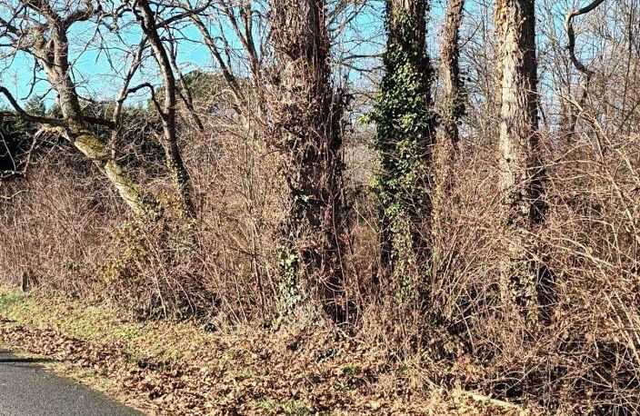Terrain non constructible — photo 4