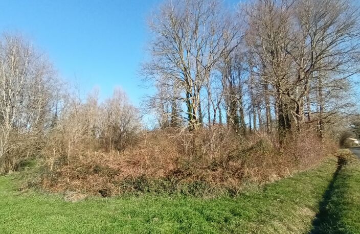Terrain non constructible — photo 5