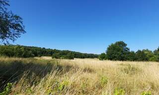 Terrain  5377 m² à vendre à Mareuil-sur-Cher (41110)