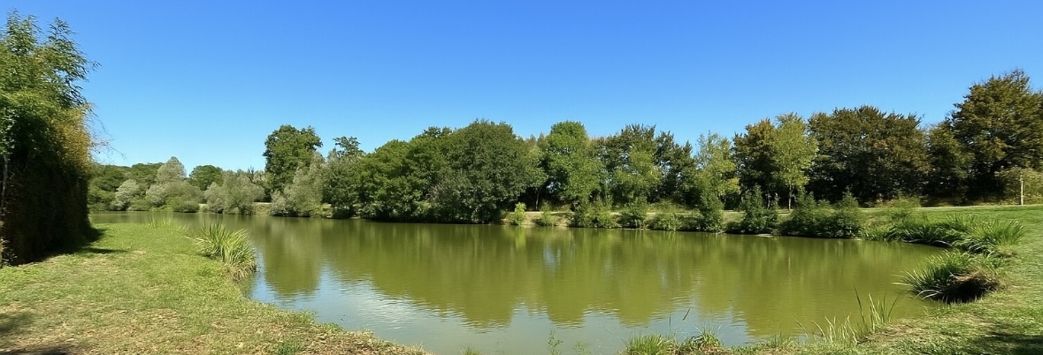 Terrain  26700 m² à vendre à La Berthenoux (36400)