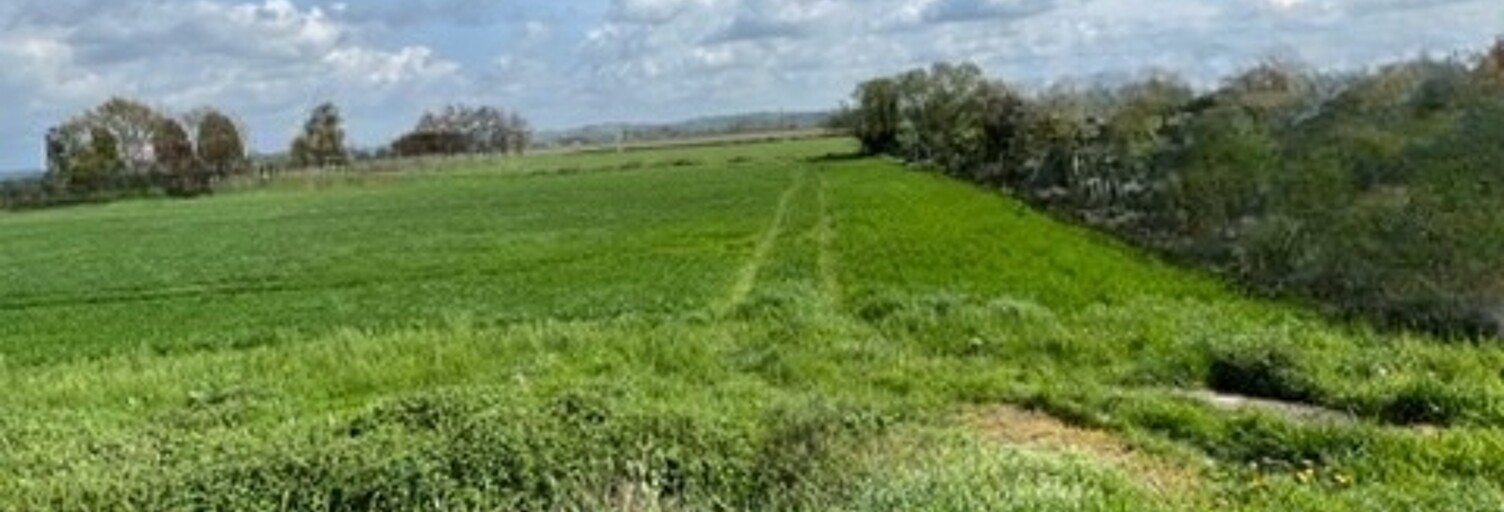 Terrain  7055 m² à vendre à Lafitte-Vigordane (31390)