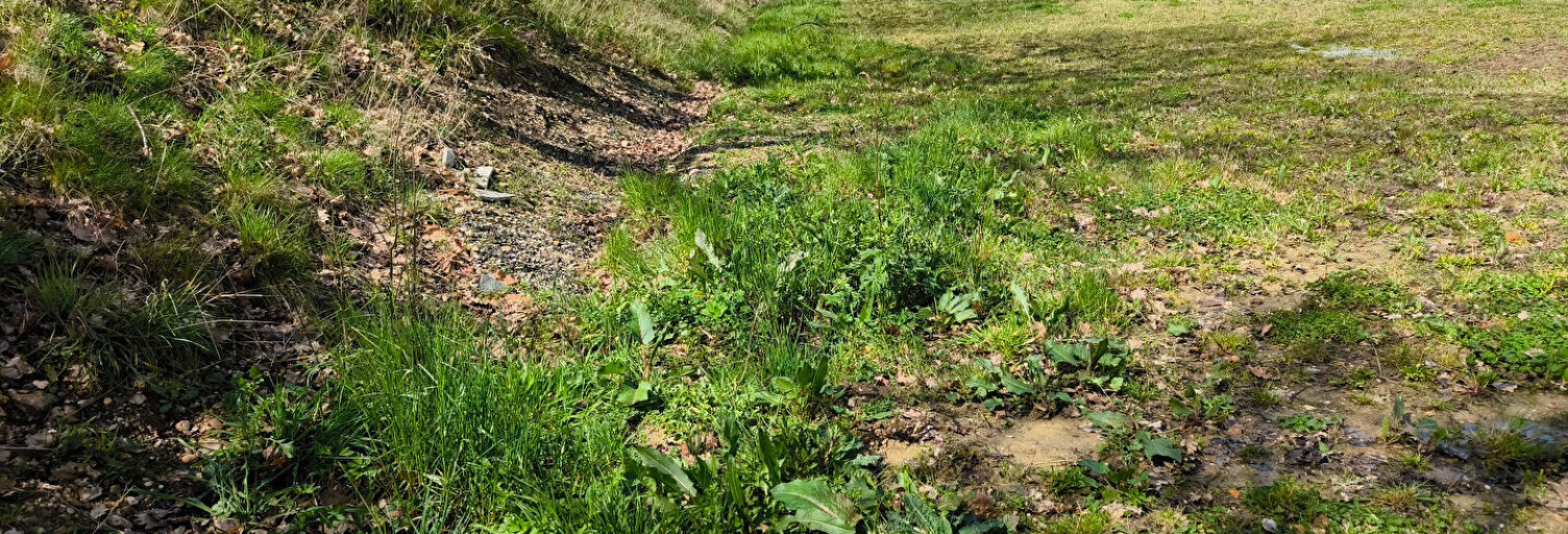 Terrain  648 m² à vendre à Giroussens (81500)