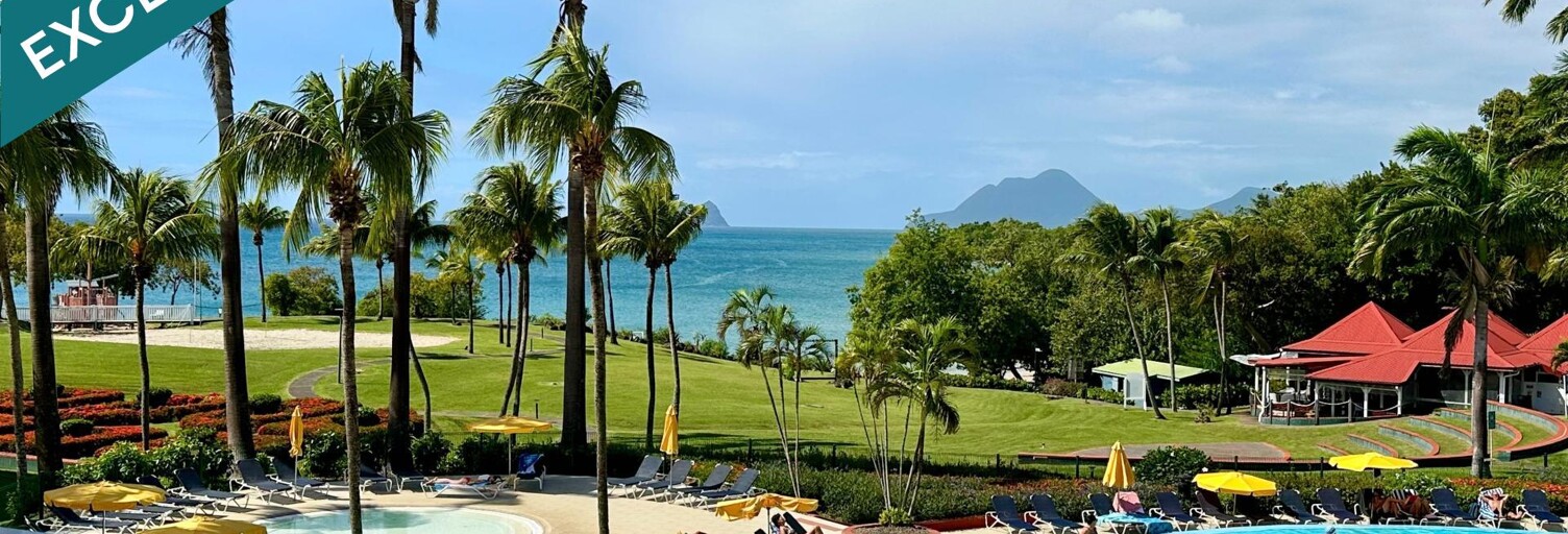 Appartement 1 Pièce 33 m² à vendre à Sainte-Luce (97228)