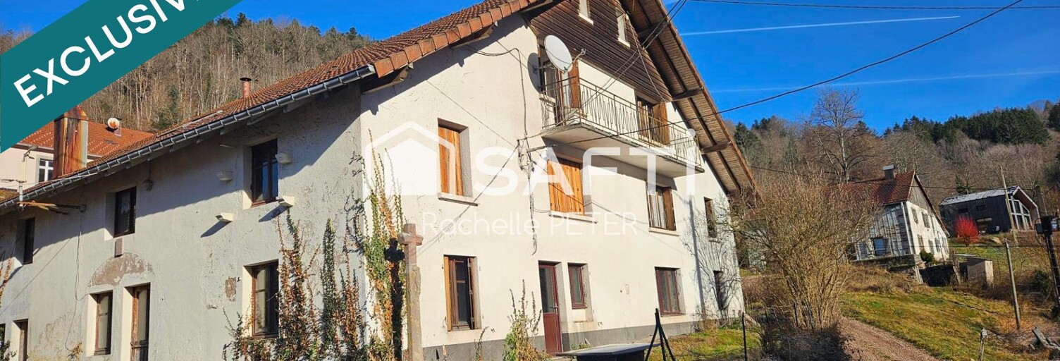 Maison 17 Pièces 260 m² à vendre à Basse-sur-le-Rupt (88120)