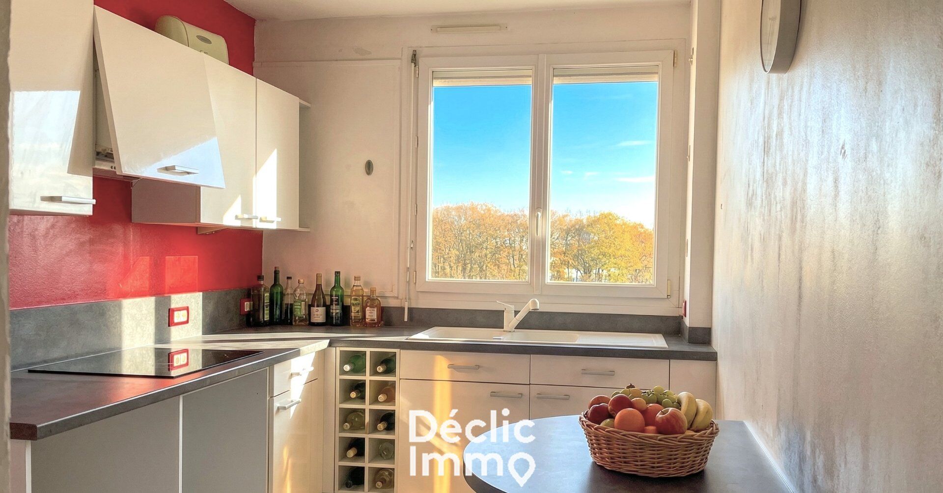 Appartement  T2 à vendre Saran 45770