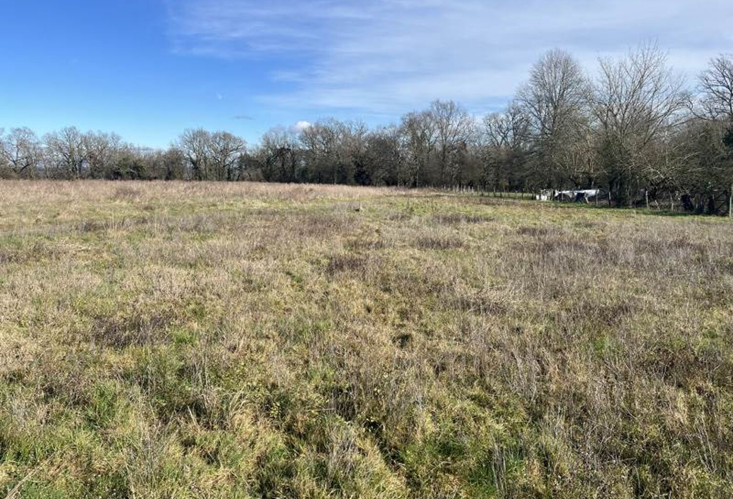 Vente terrain  2480 m² Saint-Sever (40500) — photo 1