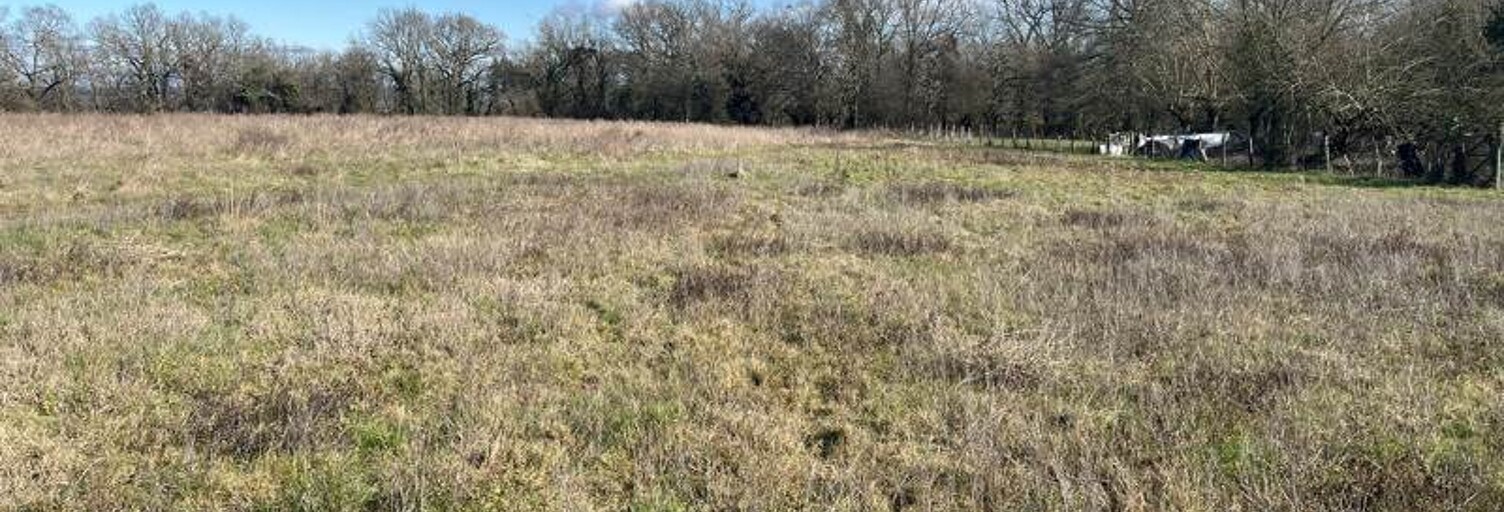 Terrain  2480 m² à vendre à Saint-Sever (40500)