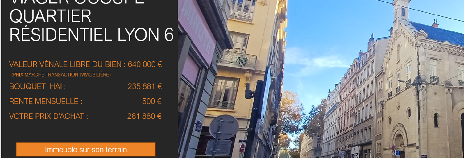 Appartement 105 m² en viager Lyon 6 (69006)