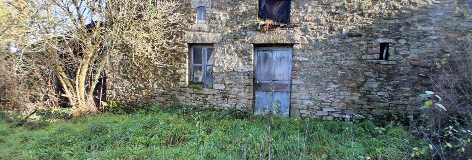 Maison 1 Pièce 58 m² à vendre à Saint-Vincent-sur-Oust (56350)