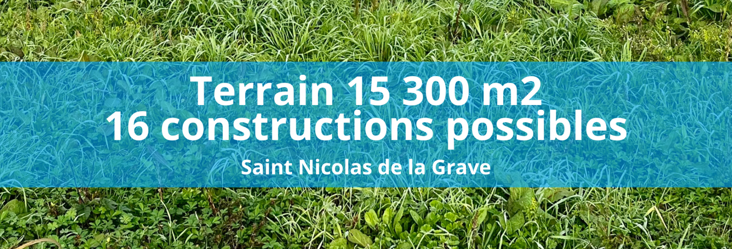 Terrain  15300 m² à vendre à Saint-Nicolas-de-la-Grave (82210)