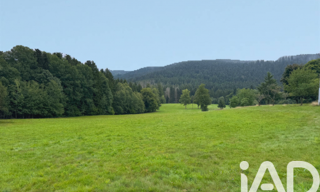 Terrain  19000 m² à vendre à Liézey (88400)