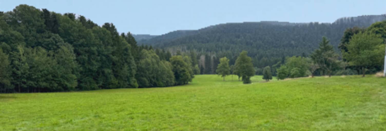 Terrain  19000 m² à vendre à Liézey (88400)